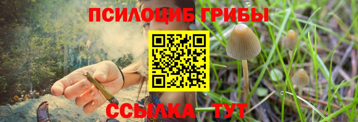 Галлюциногенные грибы MAGIC MUSHROOMS  Псилоцибиновые грибы Cubensis  Котлас  Вход с VPN 